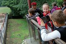 Školáci v olomoucké zoo. Ilustrační foto