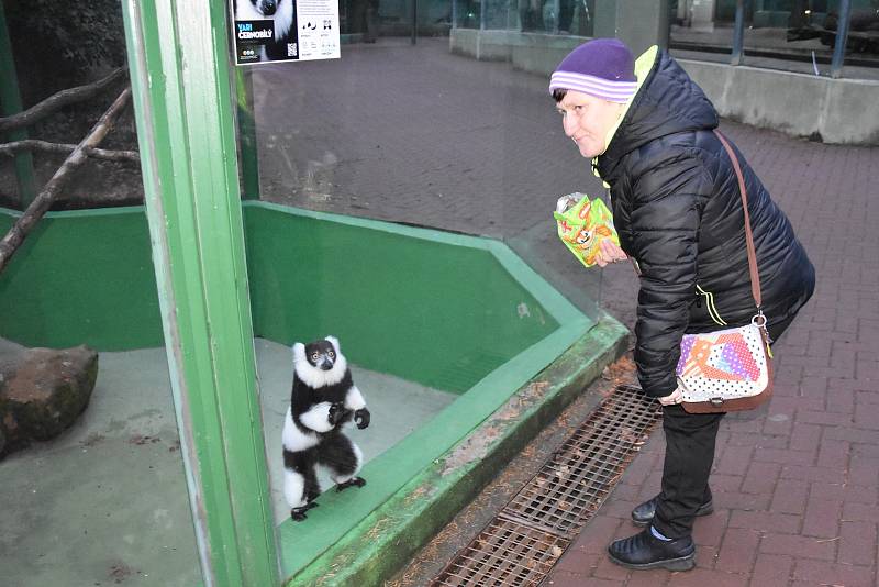 O komentovanou prohlídku areálu zoologické zahrady na Svatém Kopečku projevily zájem stovky návštěvníků