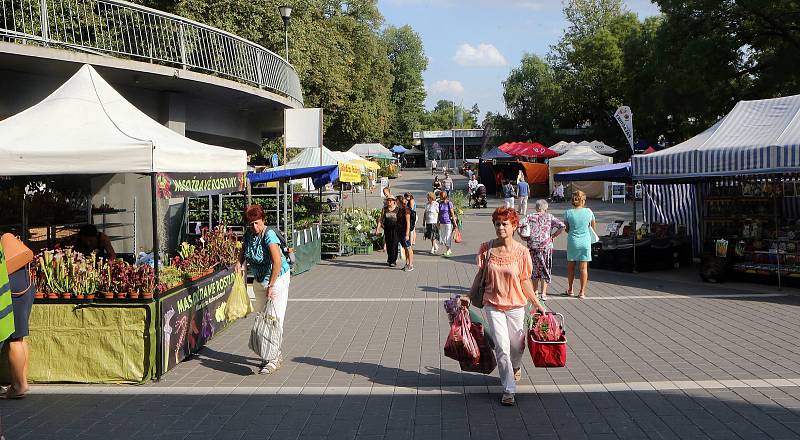 Letní etapa výstavy květin Flora Olomouc 2018.