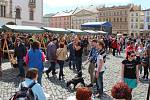 Tvarůžkový festival na Horním náměstí v Olomouci