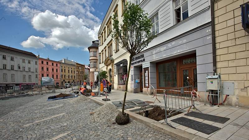 Sázení nových stromů v rámci rekonstrukce Dolního náměstí v Olomouci. Zajímavostí je automatické zavlažování
