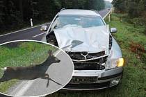 Ilustrační koláž..