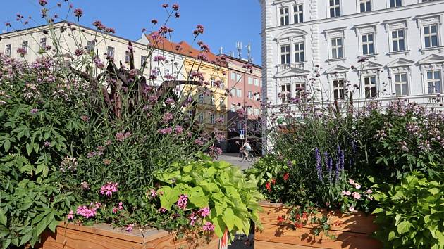 Toulky po městě Olomouc.