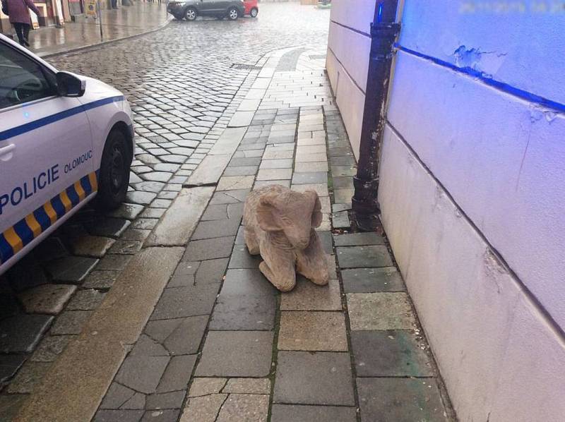 Vyřezávaná ovce z betlému na olomouckém Dolním náměstí "na výletě"