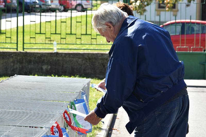 Okresní všeobecná výstava králíků, drůbeže a holubů v Senici na Hané, 21.-22. 9. 2019