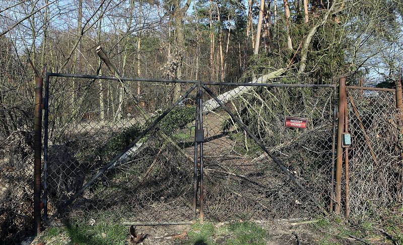 Zoologická zahrada na Svatém Kopečku u Olomouce poškozená vichřicemi. Konec března 2019