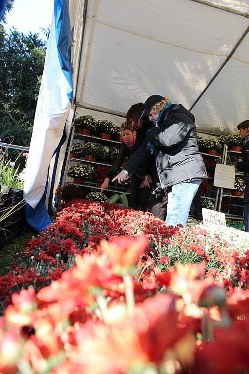 Podzimní Flora 2011