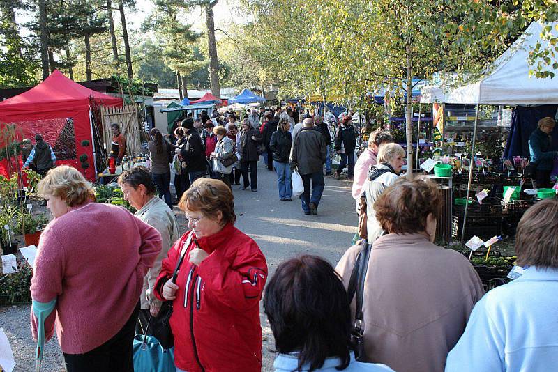 Podzimní Flora 2011