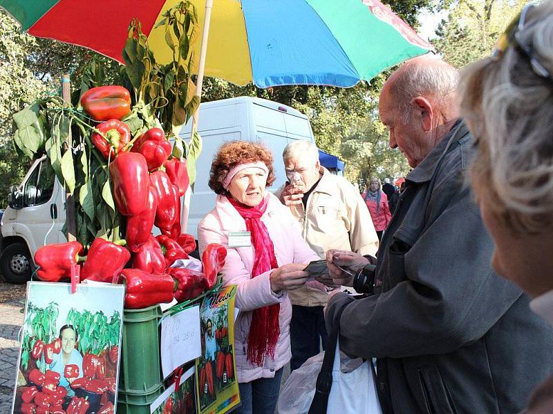 Podzimní Flora 2011