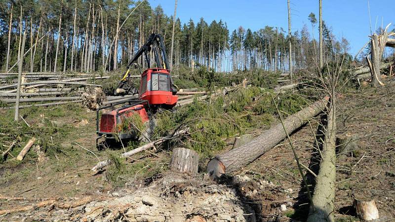 Harvestor pomáhá v olomoucké zoo s úklidem po vichřici. 20.3. 2019