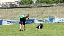 To nejlepší z Dogfrisbee jde o víkendu k vidění v Olomouci