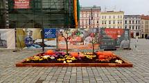 Na podzimní Floru láká i instalace na Horním náměstí v Olomouci