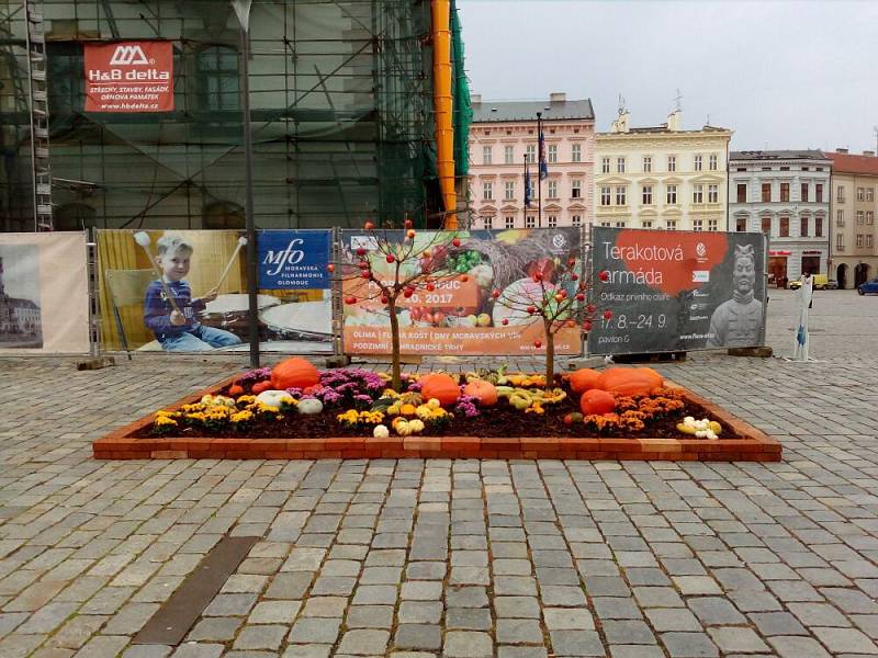 Na podzimní Floru láká i instalace na Horním náměstí v Olomouci