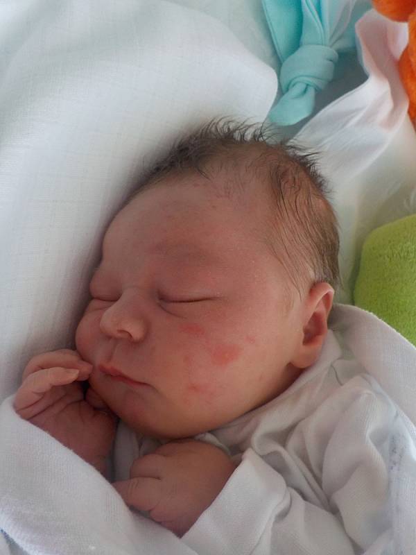 Adam Lobodáš, Víceměřice, narozen 16. května 2022 v Prostějově, míra 3800 g, váha 51 cm. Foto: Lucie Rozehnalová