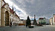 Vánoční strom pro Olomouc - příjezd a instalace na Horním náměstí - 22. listopadu 2020