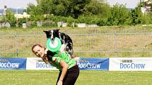 To nejlepší z Dogfrisbee jde o víkendu k vidění v Olomouci