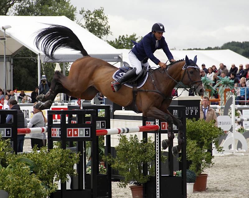 Grand Prix Olomouc FEI World Cup.