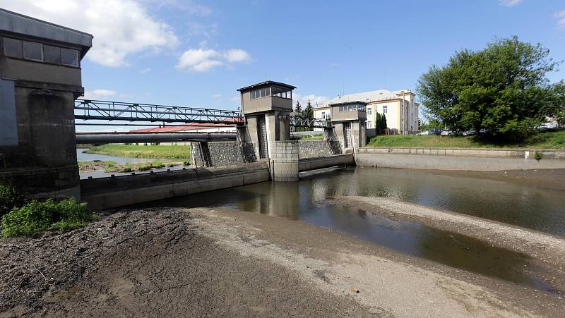 Tradiční letní srážka vody na řece Moravě v Olomouci.