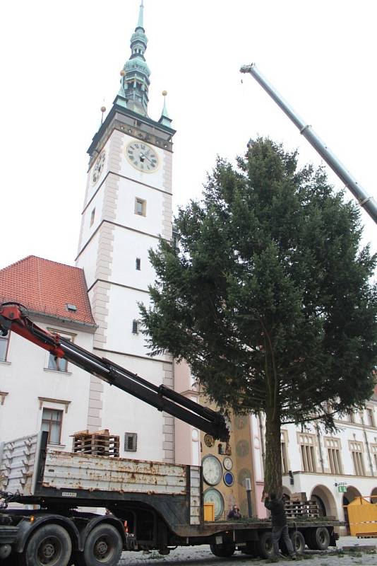 Vánoční jedle na Horním náměstí v Olomouci