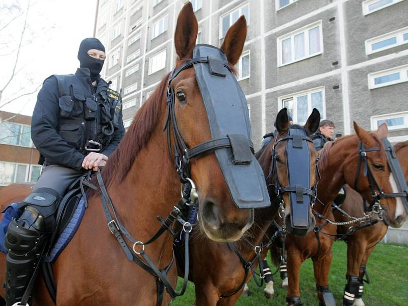 Policisté na koních