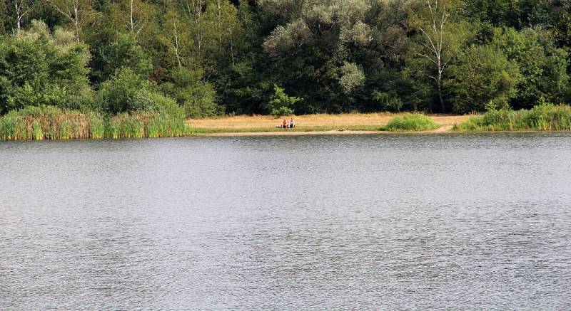 Přírodní koupaliště Poděbrady u Olomouce