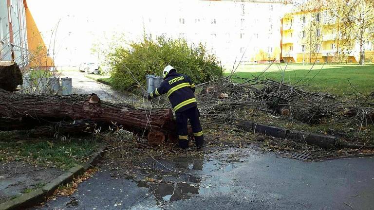 Odstraňováním následků silného větru v Olomouckém kraji.