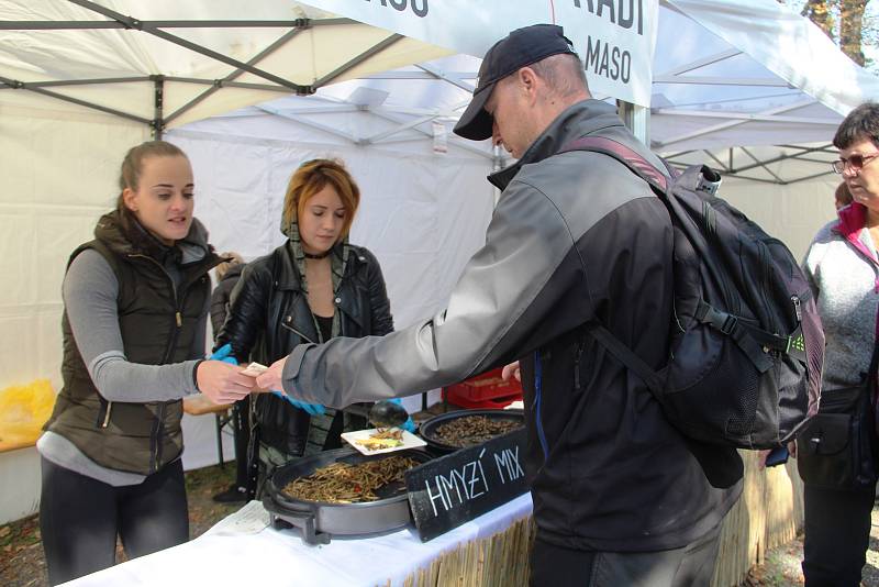 Festival plný netradičních pokrmů Extreme food festival v areálu Letního kina v Olomouci.