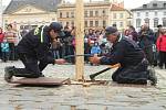 Kácení májky na Horním náměstí v Olomouci