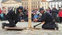 Kácení májky na Horním náměstí v Olomouci