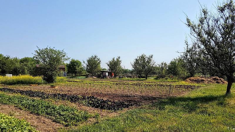 Zahrada projektu Ze-za-hrátky uprostřed in-line stezky Hejčínské louky v Olomouci