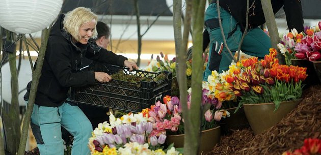 Poslední přípravy na jarní Floru 2015