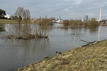 Rozvodněná Morava na Nových Sadech ve středu 14. února 2024. Ilustrační foto