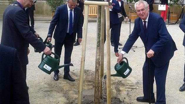 Prezident Zeman v zámeckém parku v Čechách pod Kosířem zasadil strom