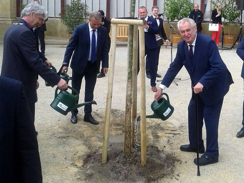 Prezident Zeman v zámeckém parku v Čechách pod Kosířem zasadil strom