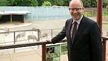 Premiér Bohuslav Sobotka v olomoucké zoo pokřtil mládě zebry