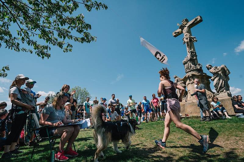 Křižák - Běh na Křížový vrch či půlmaraton. Foto se souhlasem organizátora