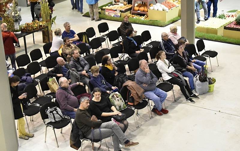 Olomoucká Flora nabídla rozmanitost podzimních barev. 1.10. 2022