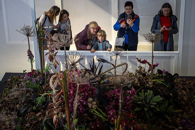 Jarní etapa květinové a zahradnické výstavy Flora Olomouc, 21. dubna 2022. Hlavní expozice v pavilonu A nese název Květy a světy. Výstava končí 24. dubna.