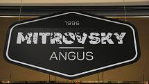 Prodejna Mitrovsky Angus v olomoucké Galerii Šantovka.