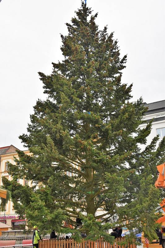 18.11.2018. Vánoční strom dorazil na Horní náměstí v Olomouci