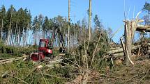 Harvestor pomáhá v olomoucké zoo s úklidem po vichřici. 20.3. 2019