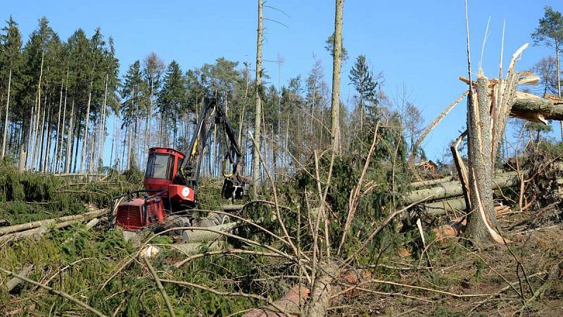 Harvestor pomáhá v olomoucké zoo s úklidem po vichřici. 20.3. 2019