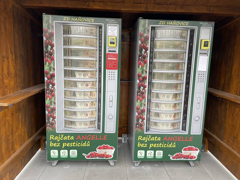 Družstvo v Haňovicích na Olomoucku pořídilo další automat s rajčaty. Je o ně obrovský zájem, 9. dubna 2022
