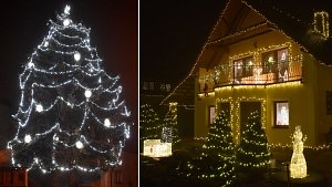 Blanku Motlíčkovou kvalifikovalo k ozdobení troubelického vánočního stromu výzdoba jejího domu a zahrady.