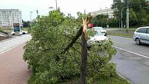 Následky čtvrteční odpolední bouřky v Olomouckém kraji