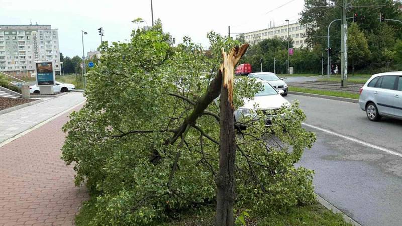 Následky čtvrteční odpolední bouřky v Olomouckém kraji