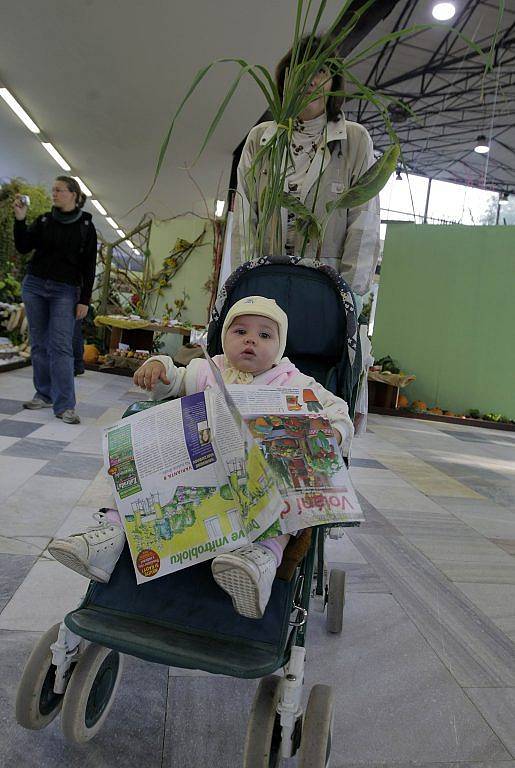 Mámo, koukej líp na cestu, málem jsme porazili fotografa!