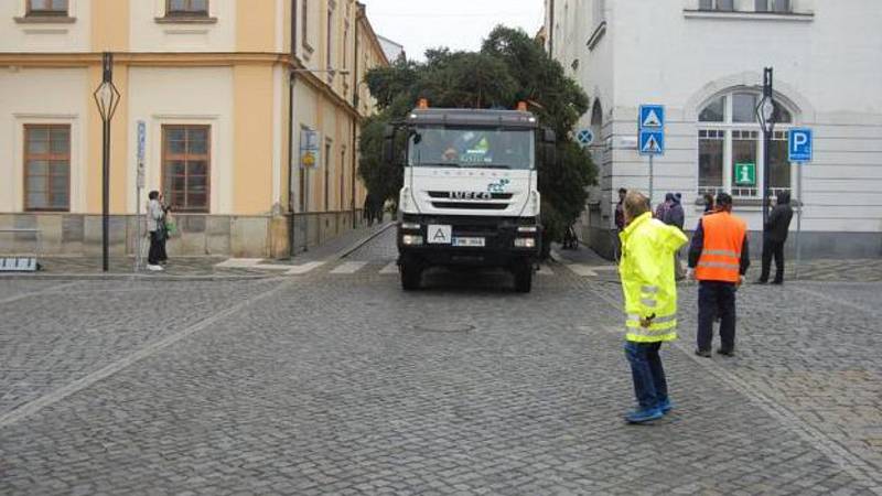 Od pátku 23. listopadu stojí na náměstí Přemysla Otakara v Litovli letošní vánoční strom – smrk měřící 12 metrů