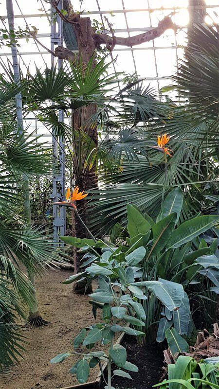 Sbírkové skleníky na olomouckém výstavišti Flora