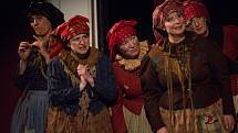 Folklorní soubor Haná Velká Bystřice oslavil v sobotu čtyřicet let od založení dvouhodinovým vystoupením v Moravském divadle Olomouc.